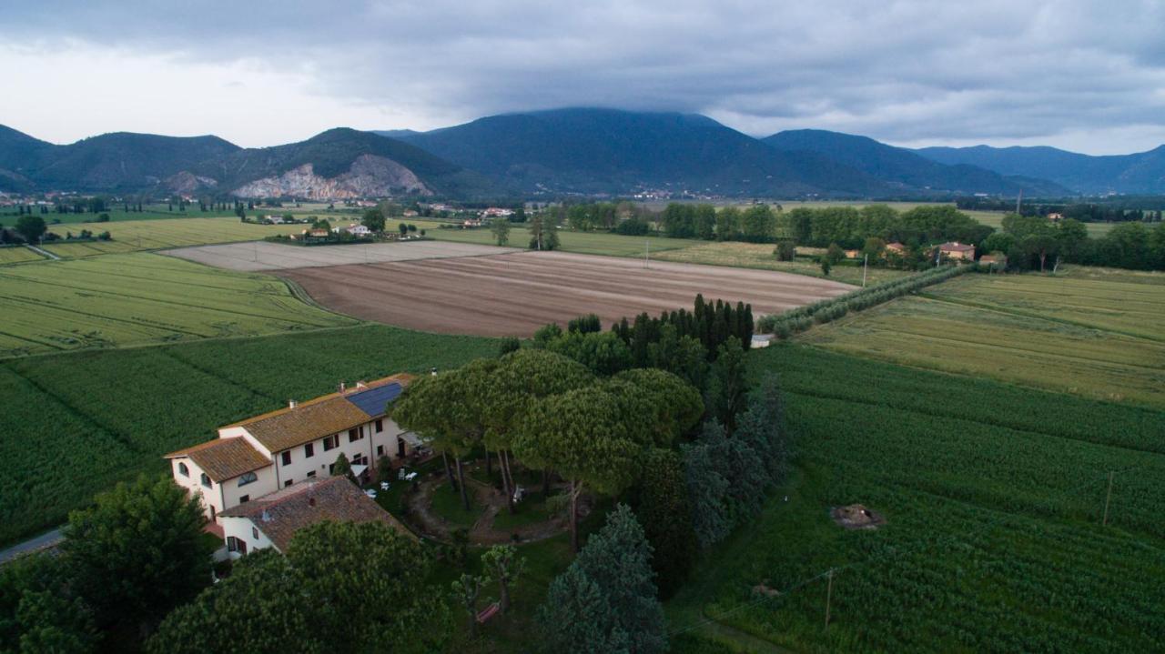 Podere Magnolia Pisa Exterior photo